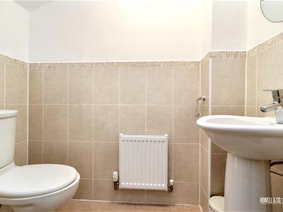 Picture 5